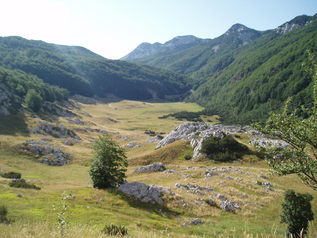 Apartments Amari Starigrad Paklenica Buitenkant foto